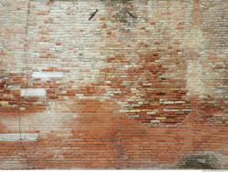 Photos of Various Textures